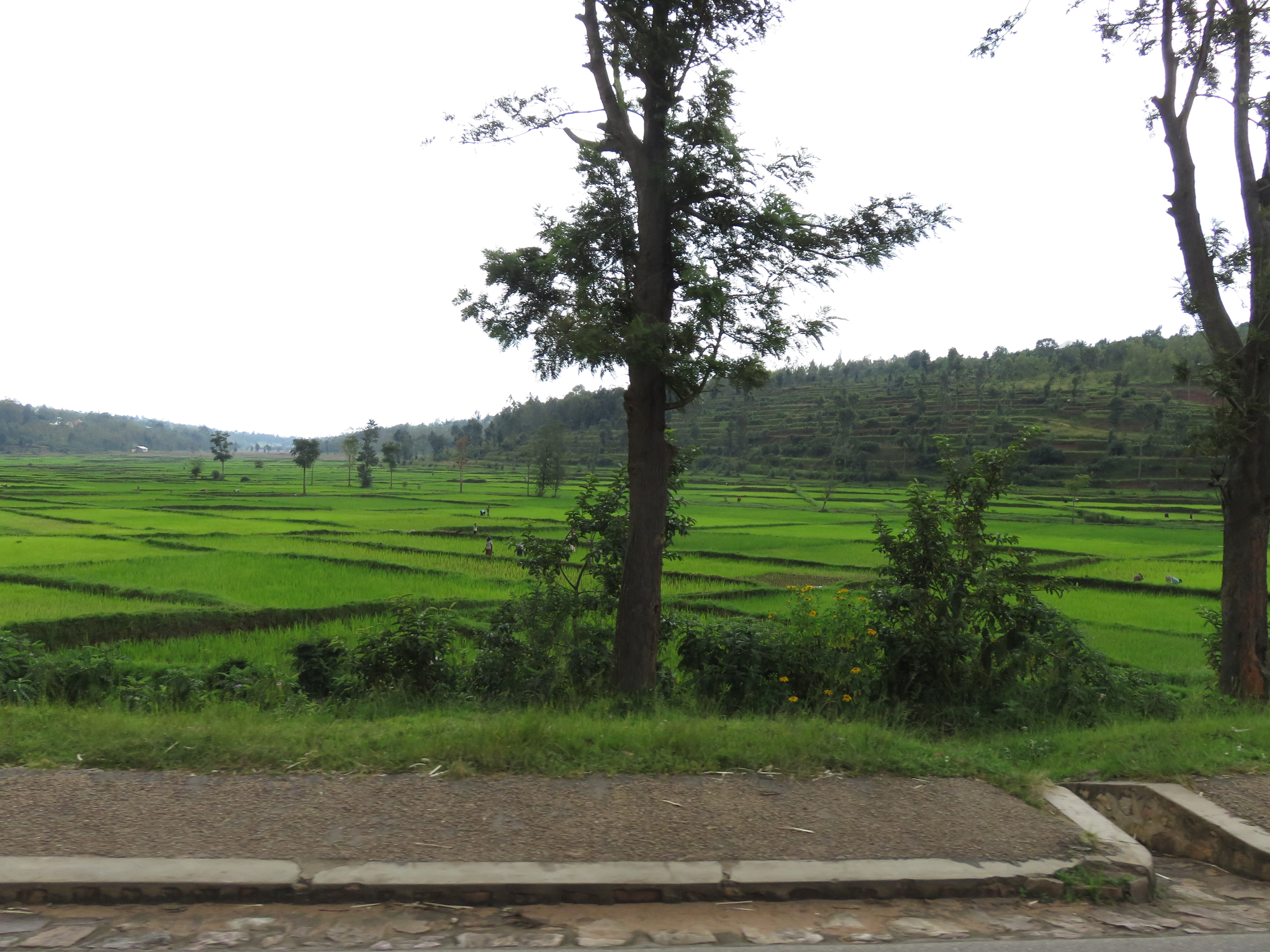 Southern Rwanda