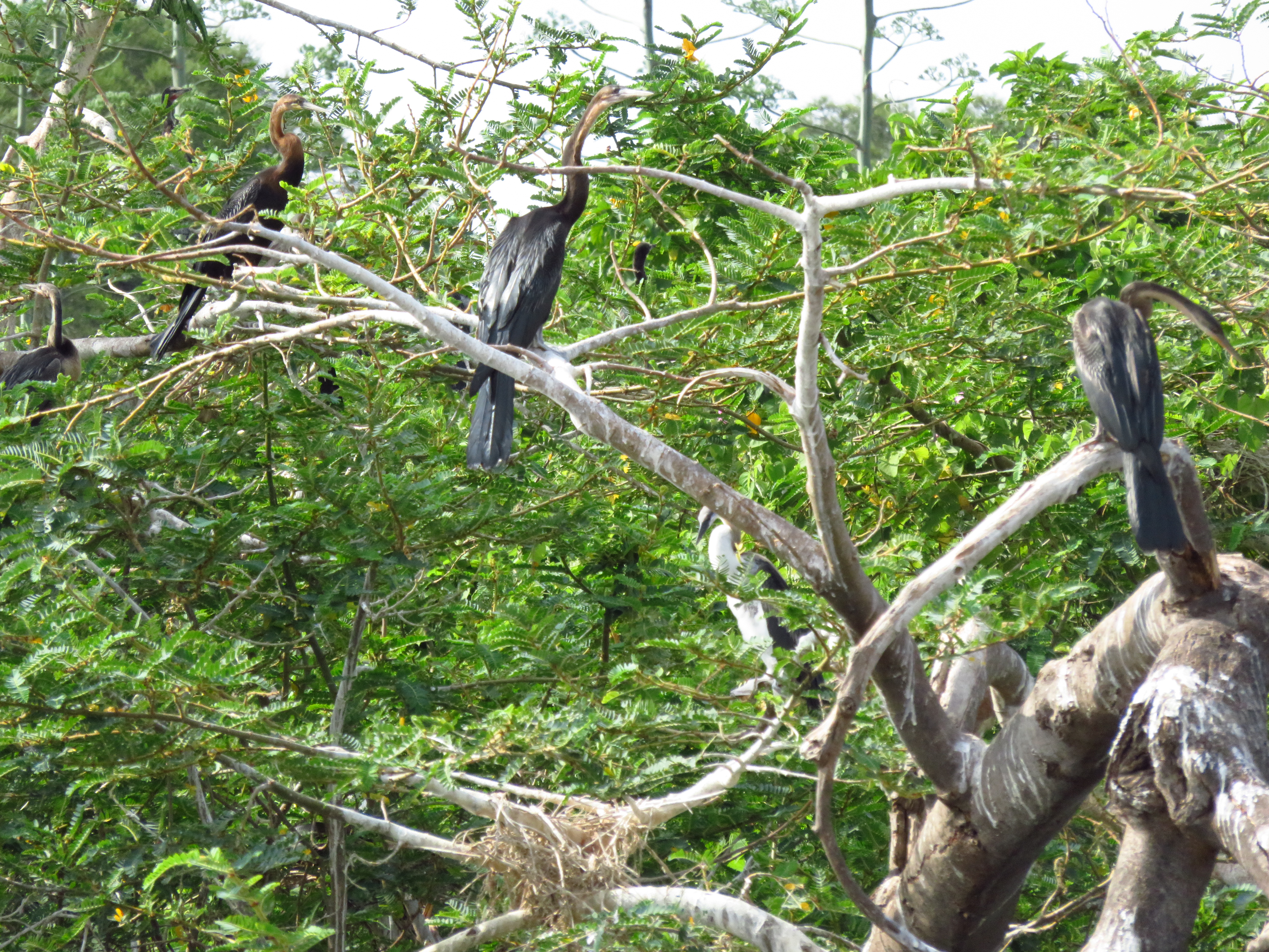 Akagera National Park