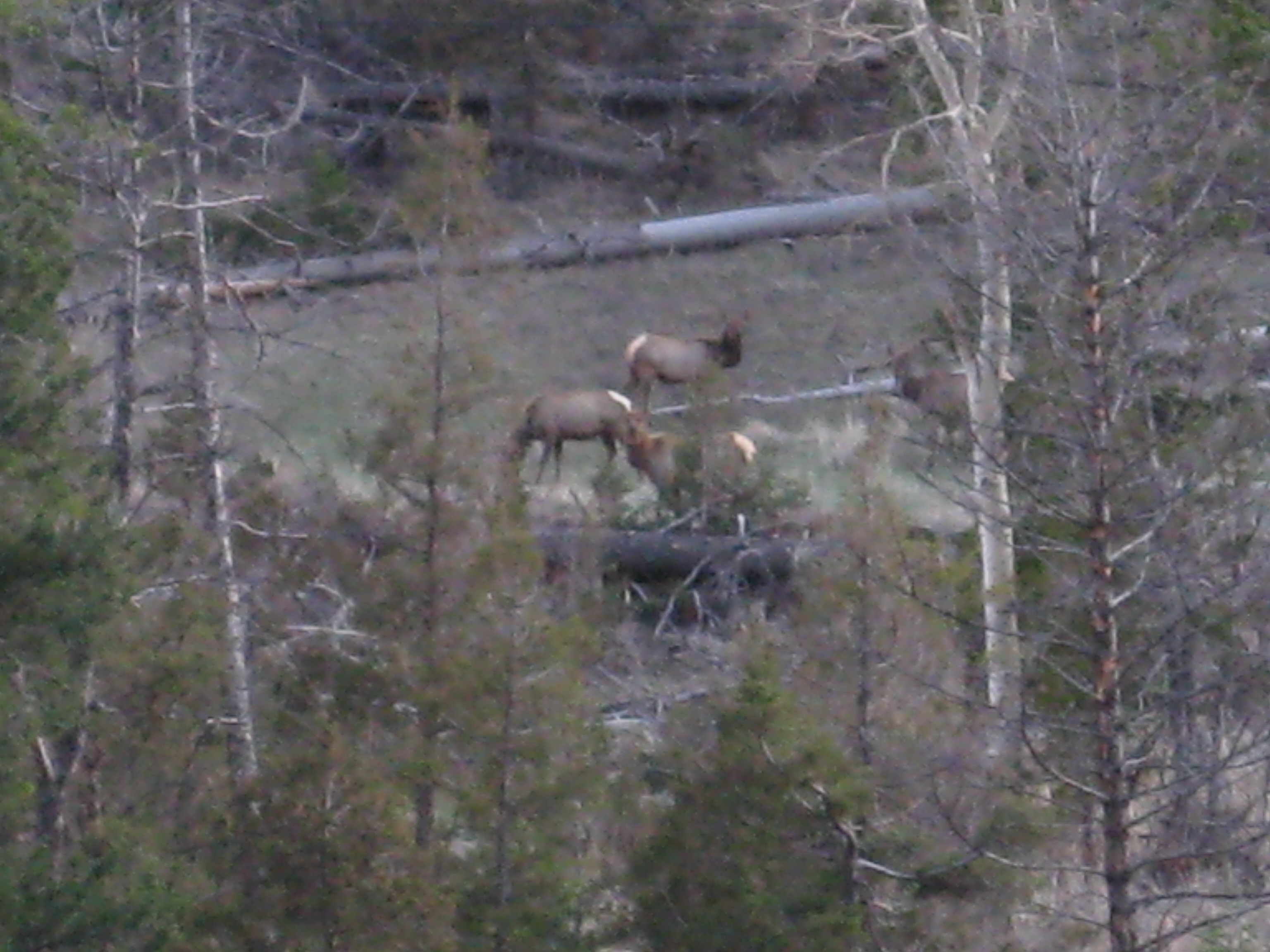 Yellowstone by Air 2011
