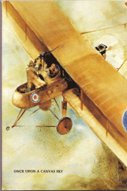 Airplanes